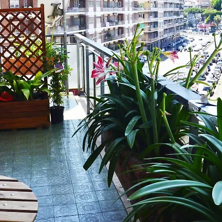 Bed & Breakfast Vatican Eden 3*